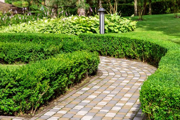 Cost of Paved Landscaping in Millsboro