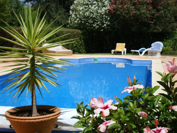 Cost of Pool Terrace Renovation in Millsboro
