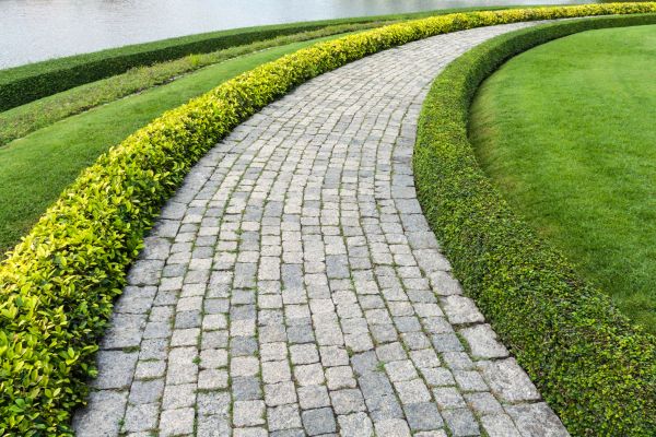 Cost of Sidewalk Pavers Installation in Millsboro