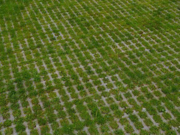 Cost of Permeable Pavement Service in Millsboro