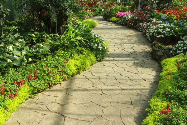 Cost of Stone Pathway Service in Millsboro