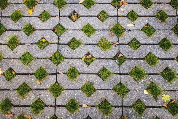 Cost of Porous Paver Installation in Millsboro